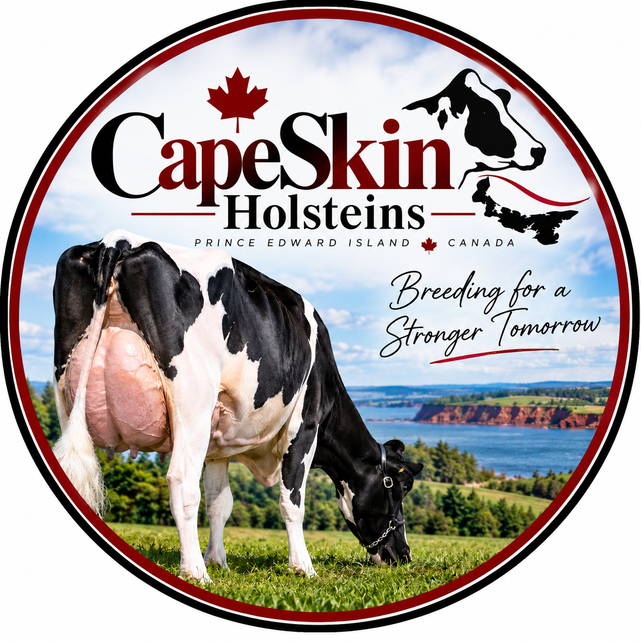 CapeSkin Holsteins heritage logo